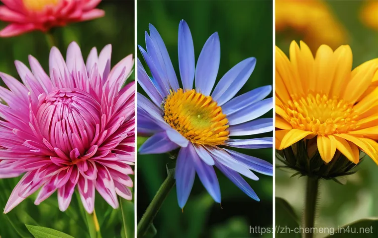 공정안전관리 PSM - Here are three detailed image prompts: